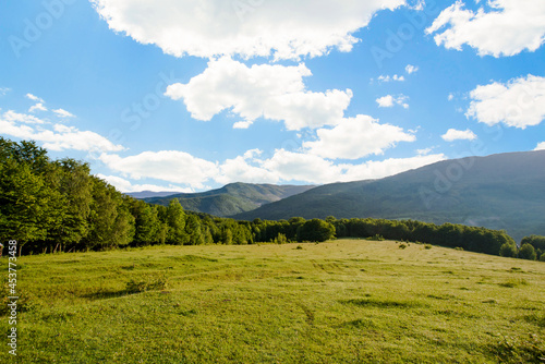 beautiful meadow covered with grass on a background of green summer and high mountains with blue sky and clouds. Mountain landscape. Fresh air. Ecology. © robertuzhbt89