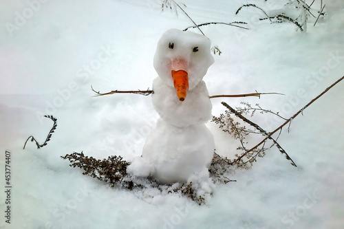 A small snowman with a carrot nose