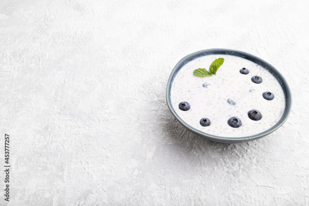 Yogurt with blueberry in ceramic bowl on gray concrete background. Side view, copy space. Yogurt with blueberry in ceramic bowl on gray concrete background. Side view, copy space.