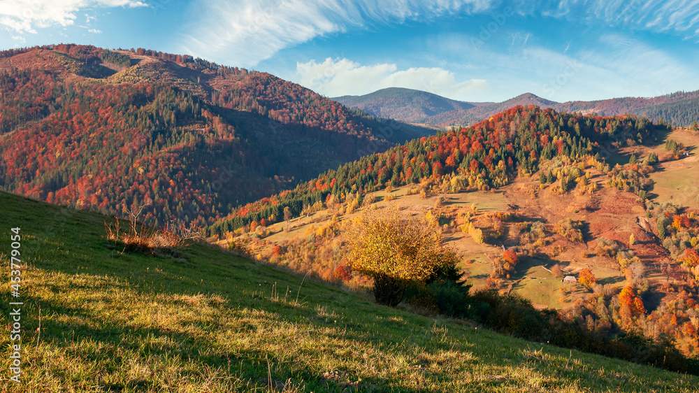Naklejka premium autumnal mountain landscape in evening light. beautiful carpathian countryside in fall colors. grassy hills rolling in to the distant ridge beneath a gorgeous sky with clouds
