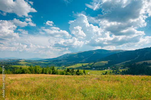 mountain landscape with meadow and valley. beautiful countryside scenery in summer. coniferous forest on the grassy slope. bright sunny weather with gorgeous cloudscape on the afternoon sky