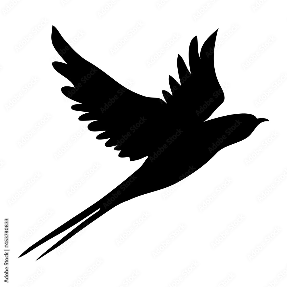 Fototapeta premium Swallow silhouette. Isolated swallow on white background.