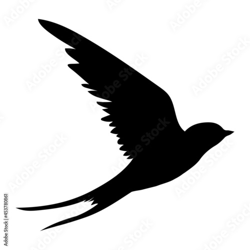 Swallow silhouette. Isolated swallow on white background.