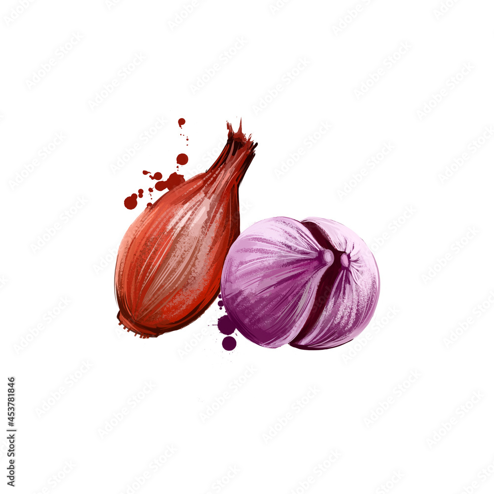 Premium Photo  Shallot isolated on white background.