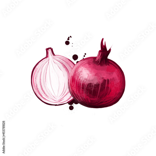 Digital art Red onion or Purple skin onion isolated on white background. Organic healthy food. Red vegetable. Hand drawn plant closeup. Clip art illustration with paint splash. Graphic design element photo