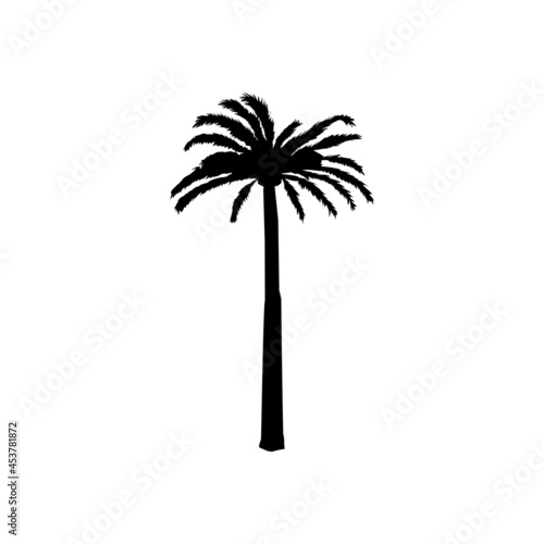 silhouette of coconut tree  palm tree illustration  vector summer sign