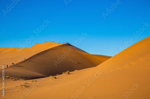 Namib is the oldest desert