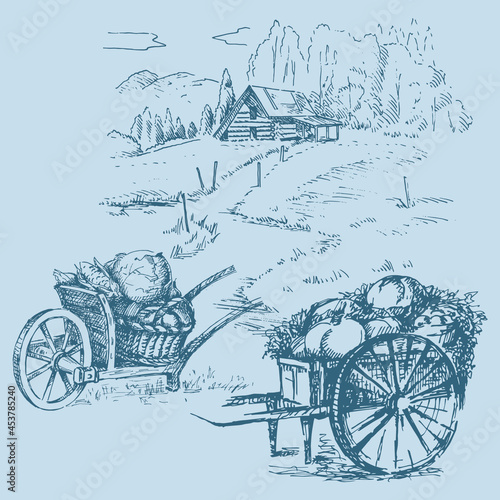 Rural scenery landscape panorama of countryside pastures. Green grass field on small hills. Vector sketch illustration
