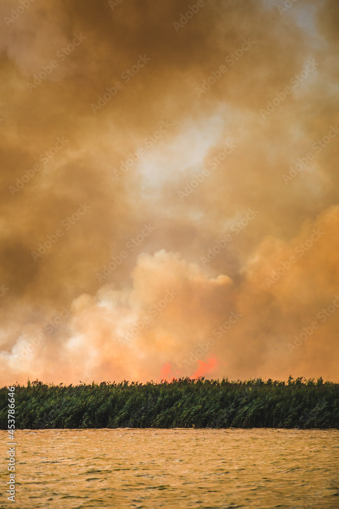 Large clouds of smoke, fire in nature. Large clouds of smoke, fire in nature.