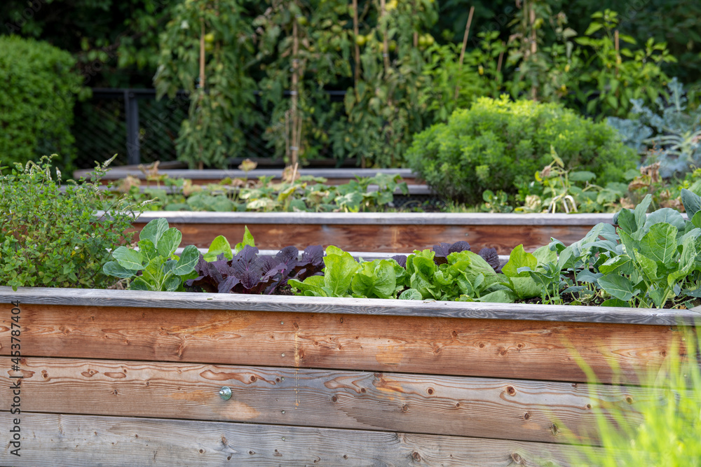 Gemüsehochbeet - Kräuter und Salate, sowie Gemüse im Garten anbauen