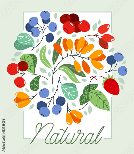 Wild berries fresh and ripe tasty healthy food vector flat style illustration isolated over white, delicious vegetation diet eating, organic food.