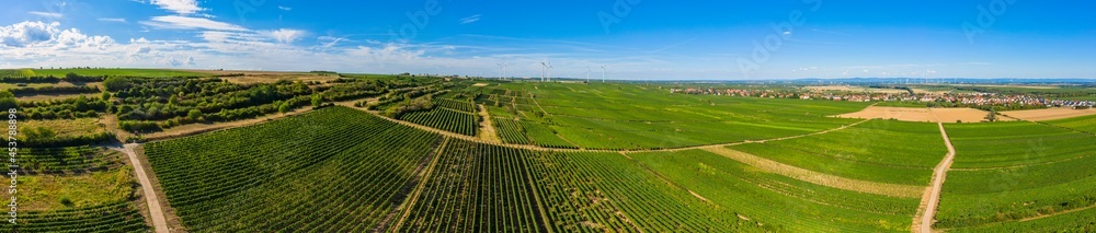 A bird's eye view in the backlight of the viticulture in Rheinhessen / Germany A bird's eye view in the backlight of the viticulture in Rheinhessen / Germany
