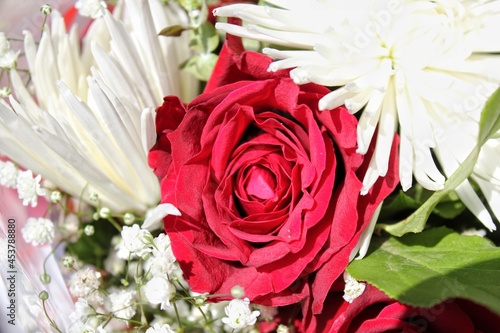 Beautiful bouquet of colorful flowers with a bright red rose in the center on a bright sunny summer day.