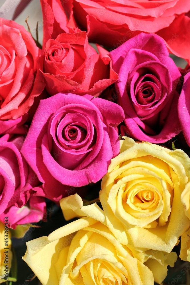 Beautiful bouquet of pink, orange, and yellow roses in full bloom on a bright sunny summer day. Beautiful bouquet of pink, orange, and yellow roses in full bloom on a bright sunny summer day.