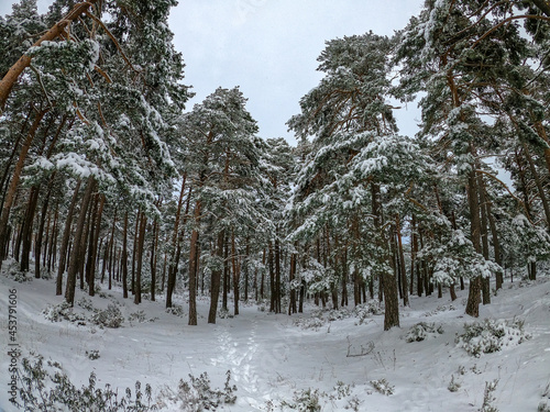 Winter landscape up in the mountains