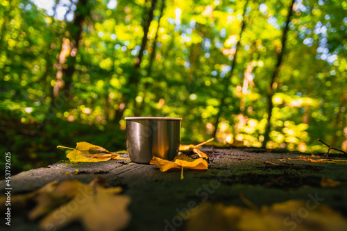 thermos mug and yellow leaves on a stump in the woods