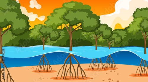 Nature scene with Mangrove forest at sunset time in cartoon style