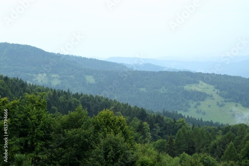 Beautiful mountains scenery  green forest landscape during cloudy and foggy weather in mountains of Beskid in Poland.