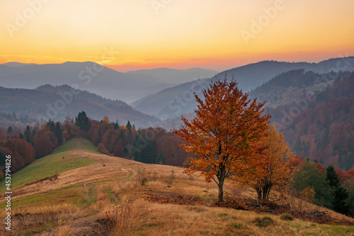 Colorful autumn evening after sunset in the Carpathian mountains