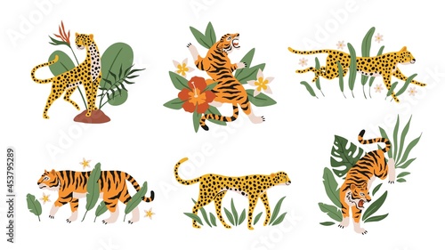 Tropical leaves with tigers  leopards and jaguars. Beautiful mini compositions with wild animals and exotic plants and flowers decor elements. Safari and zoo mammals vector isolated set