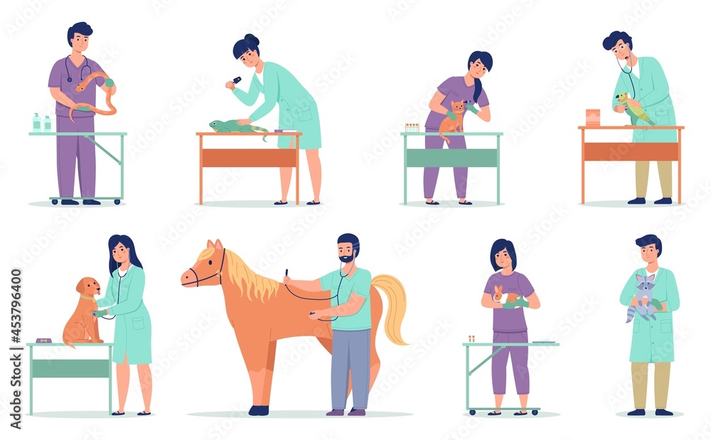 Vet doctors. Animal patients with veterinarians. Pets medical examination and treatment. Professionals in work. Men and women take care of dogs or cats in veterinary clinic, vector set