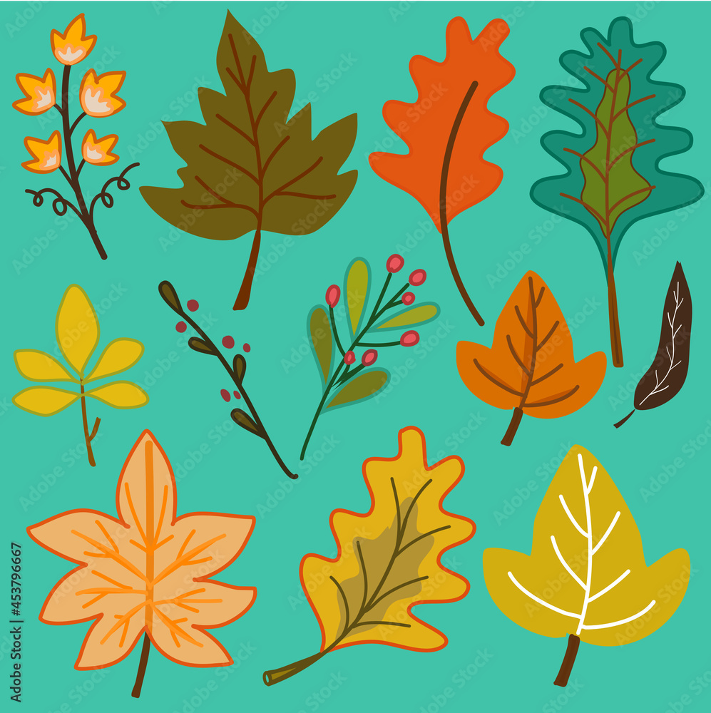 autumn leaves seamless pattern with many different leaf on green background hand drawn vector