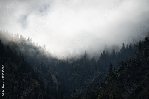 clouds and fog over the mountains and forest © Hanjin