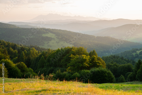 View on mountains and forest with green trees.