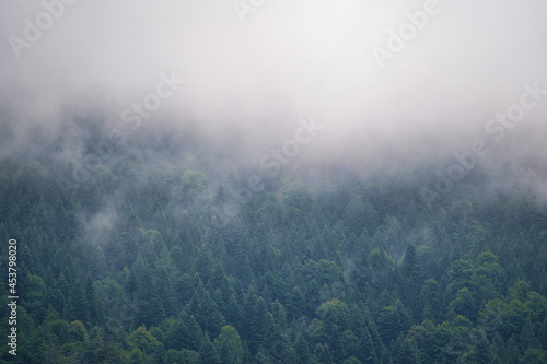 clouds and fog over the mountains and forest