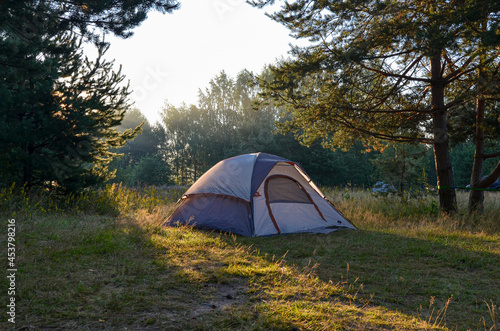 tent in the pine forest near Volga river (Uglich, Yaroslavl region, Russia)