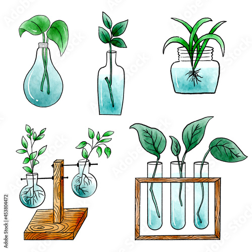 Water Propagation Station Watercolor Isolated Elements Set