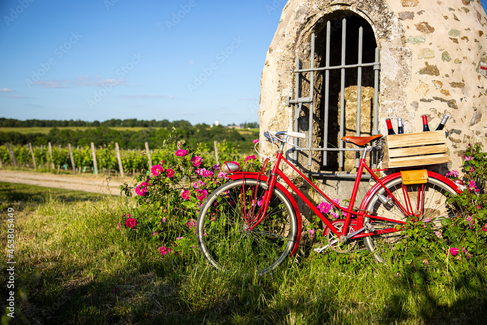 Vieux vélo rouge dans les vignes en Anjou.