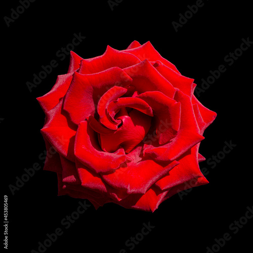 Картината върху платно Cut out flower on isolated background, with clipping path