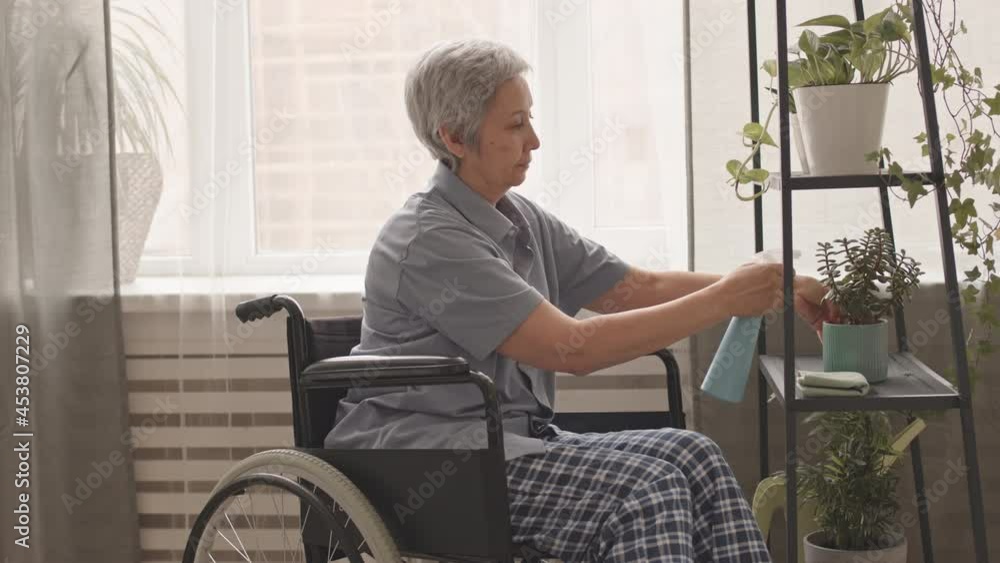 Side view medium long of elderly Asian woman in wheelchair spraying plants with water at home