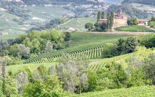 The vineyards of Langhe  Piedmont  Northern Italy   seen from the viewpoint of the village of La Morra. UNESCO site since 2014  world famous for its valuable red wines  like Barolo and Barbaresco .