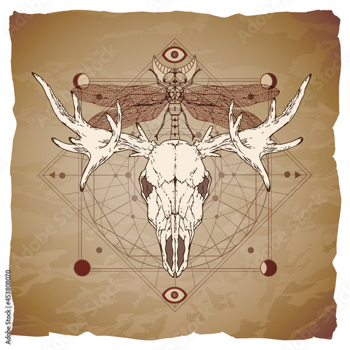 Vector illustration with hand drawn moose skull, dragonfly and Sacred geometric symbol on vintage paper background with torn edges.