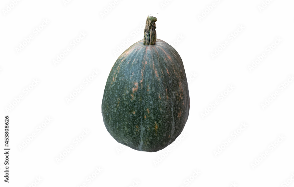 realistic pumpkin isolated on white background close up, halloween symbol