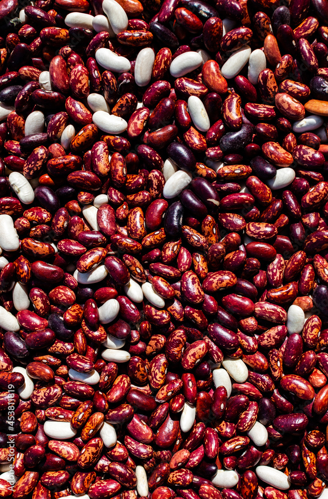 red beans laid out on the surface in an even layer red beans laid out on the surface in an even layer