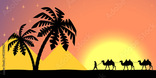 Man on the camel in palm trees at sunset.
