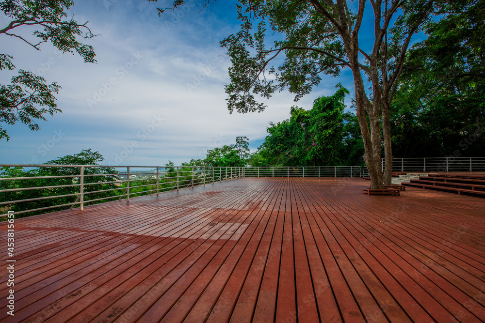 Natural background with various species of trees, green leaves, the beauty of the ecosystem Natural background with various species of trees, green leaves, the beauty of the ecosystem