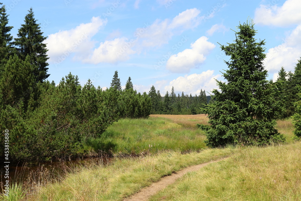 mountain landscape with meadow and trees and blue sky