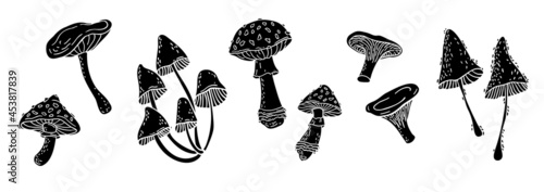 Set of images of mushrooms, vector clip art, black silhouettes on white background 
