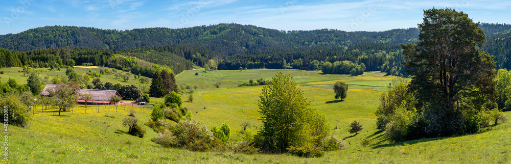 Idyllische ländliche Hügellandschaft mit Bauernhof, Wiesen und Wäldern - Panorama im Frühsommer 