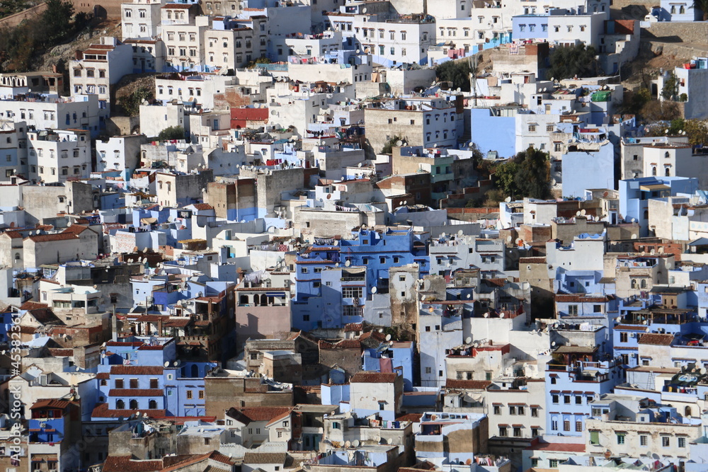 Dense little blue houses that look like miniatures in Chefchaouen, Morocco