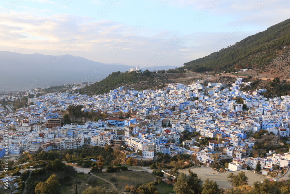 Dense little blue houses that look like miniatures in Chefchaouen, Morocco