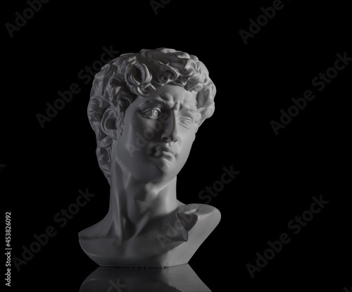 Subject photography. The head of the ancient David