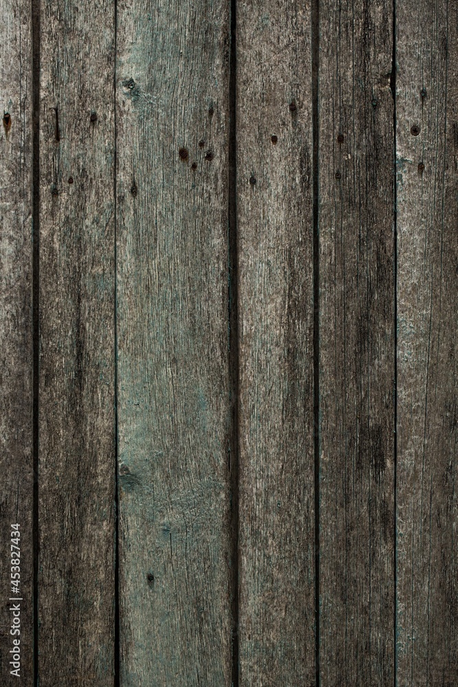 Fototapeta premium wood texture