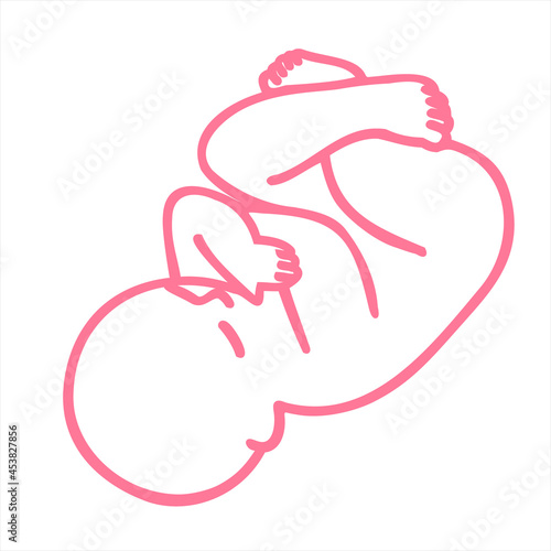 Human embryo, baby, hand drawing. Design editable image.