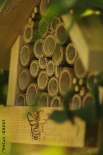 schronienie  dla  owadów  w  drewnianym  domku   schowany  między  krzewami