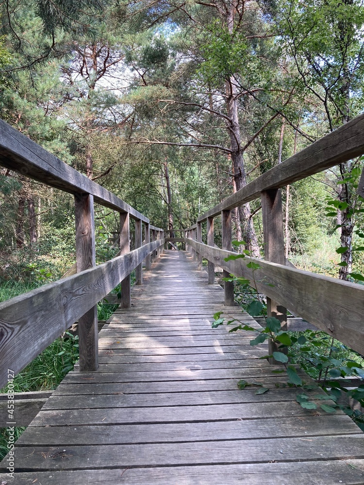 Fototapeta premium bridge